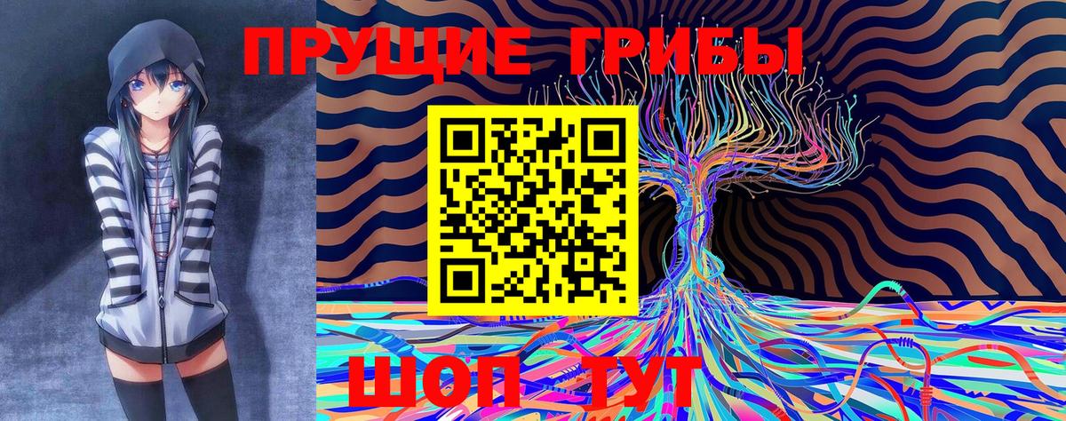 Павловский Посад  Псилоцибиновые грибы Magic Shrooms  Вход с VPN 
