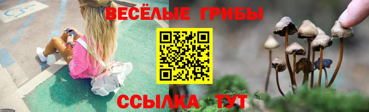 Галлюциногенные грибы Magic Shrooms Павловский Посад